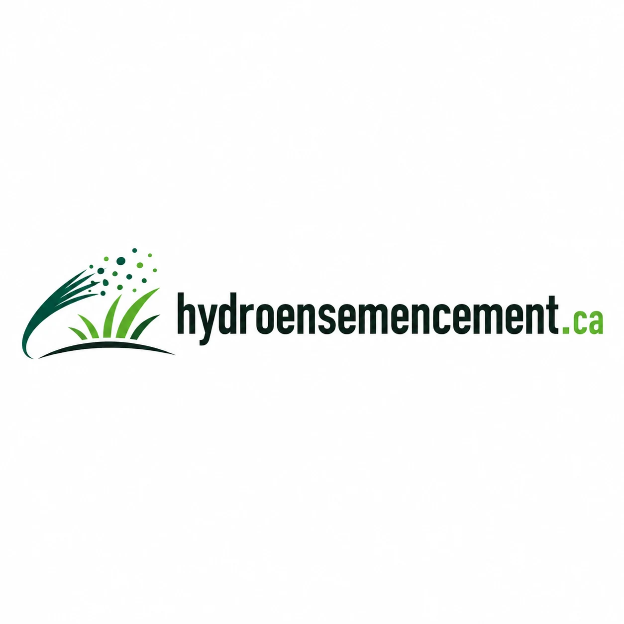 Logo hydroensemencement.ca